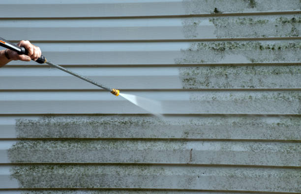 Best House Exterior Washing  in Clarkson, KY